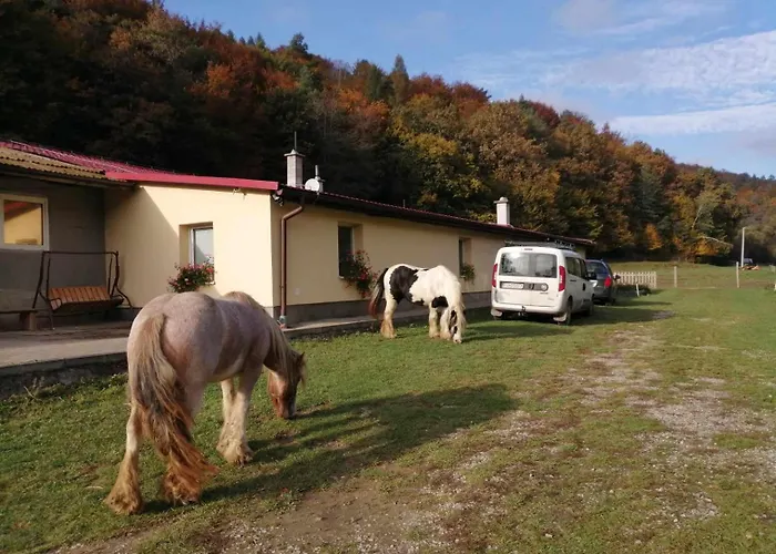 Oddychovy Pobyt Na Rodinnej Farme Matiaska photo