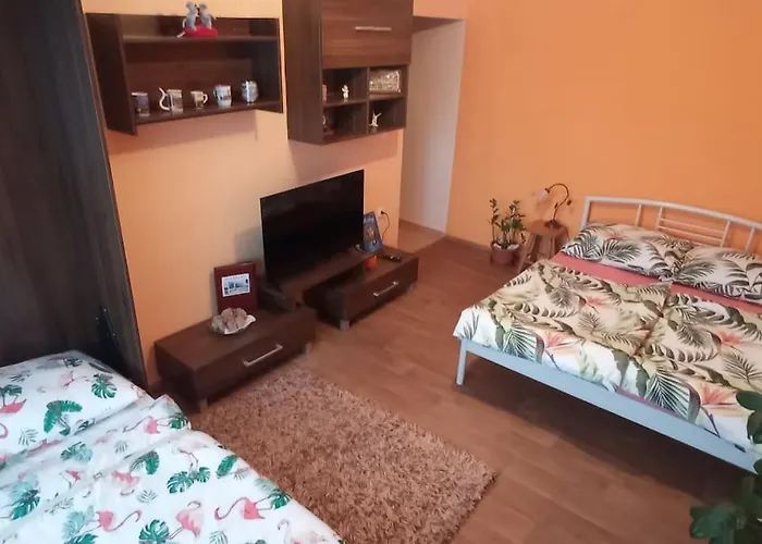 Apartman Vanessa Piest'any photo