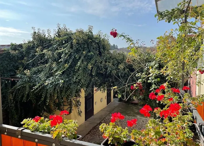 Apartment In Winery House In Senkvice Velke Canikovce照片