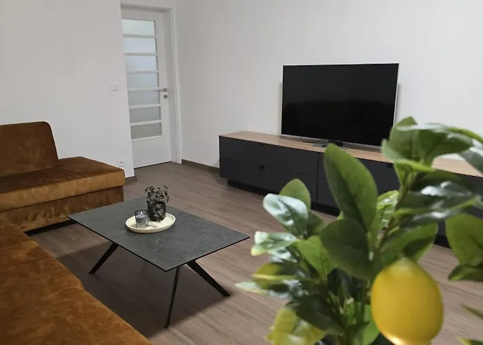 Apartman 365 Park, Wallbox, Free Parking 皮耶什佳尼照片