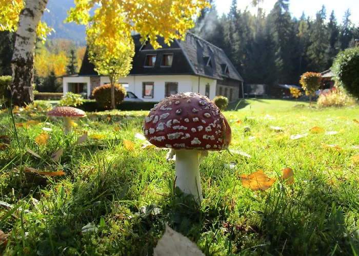 Penzion Pod Dobakom Lazisko fotorgafie