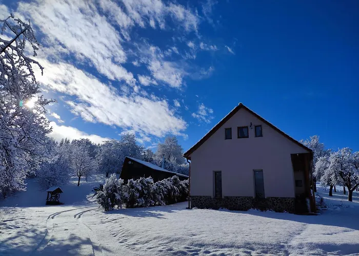 Areal Bobo Apartment Slatinske Lazy photo