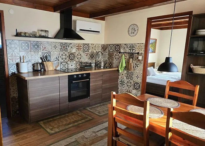 Tokaj Zlata Putna - Restaurant & Pension Vinicky照片