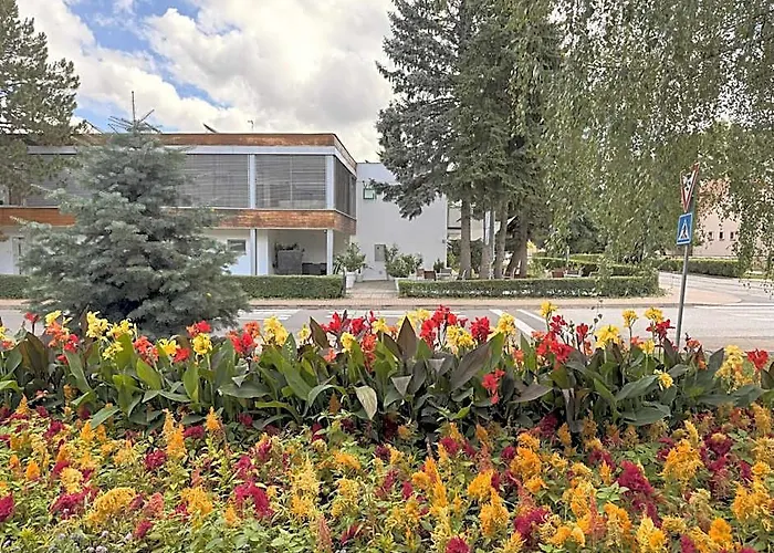 Villa Green Sielnica photo