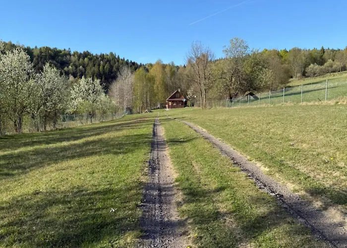 Drevenica U Buckov Villa Lutise fotoğrafı