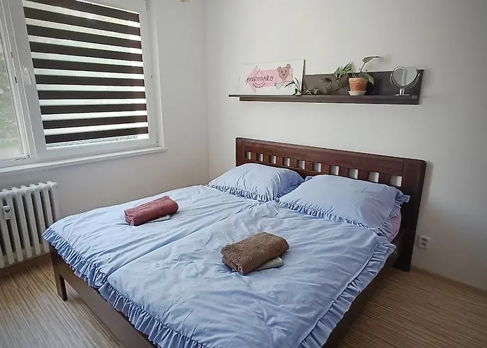 Spacious 3-Room Apartment, Close To The Center, Station Nové Mesto nad Váhom 사진