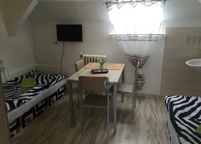 Guesthouse Zuzana Spacince photo