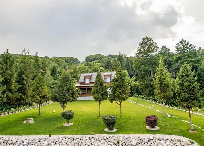 Sofia Boutique Hotel Domasa Dobra photo