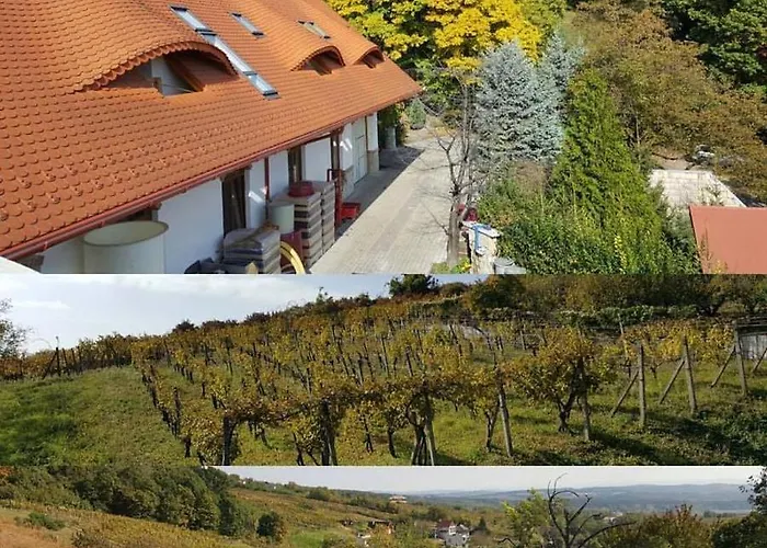 Apartmán Ubytovanie Vo Vinarstve Zsigmond Vinica fotorgafie